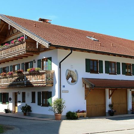 Ferienwohnung Erhard Schonberg  エクステリア 写真